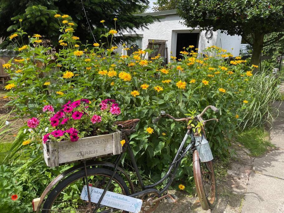 Tiny House Ostsee # Naturwerk Pruchten Dış mekan fotoğraf