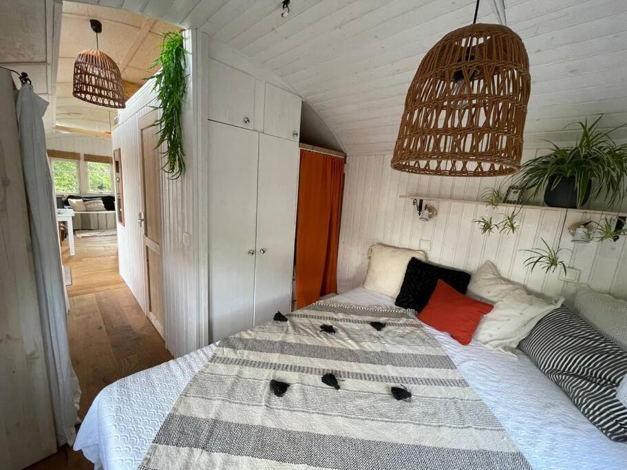 Tiny House Ostsee # Naturwerk Pruchten Dış mekan fotoğraf
