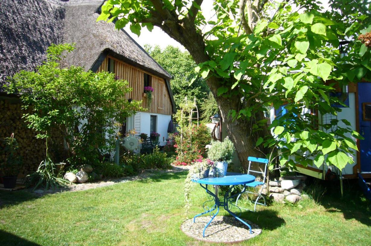 Tiny House Ostsee # Naturwerk Pruchten Dış mekan fotoğraf