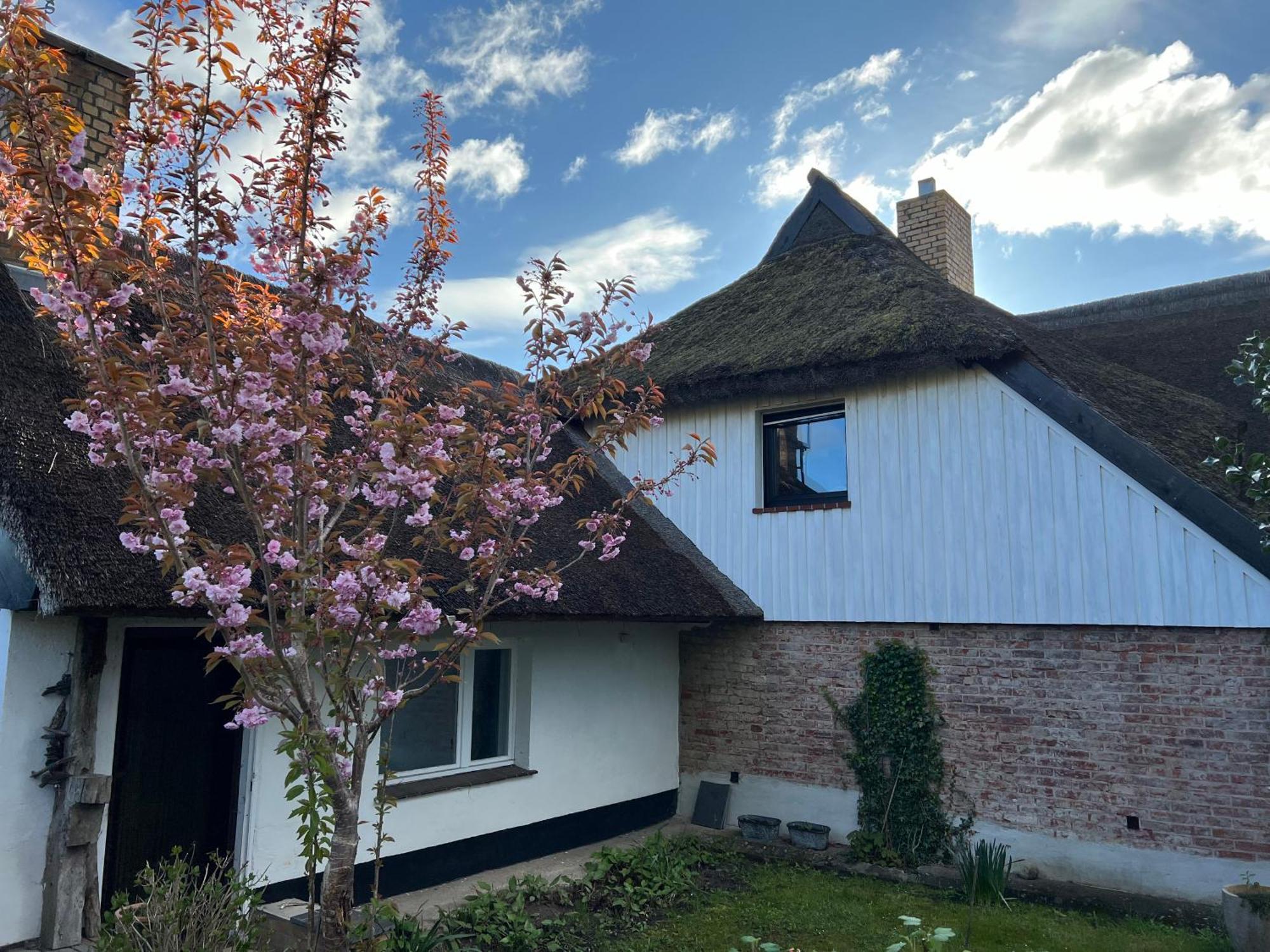 Tiny House Ostsee # Naturwerk Pruchten Dış mekan fotoğraf